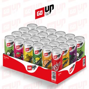 24'lü 330 ml Karışık Gazlı İçecek Deneme Kolisi