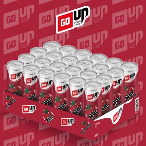 24’lü 330 ml Go Up Nar Aromalı Gazlı İçecek
